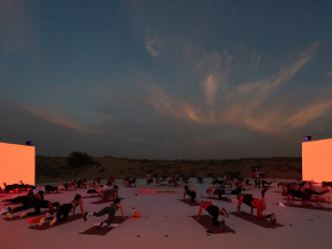 Free Practice, projects: Well Collective Festival (Fig. 17)