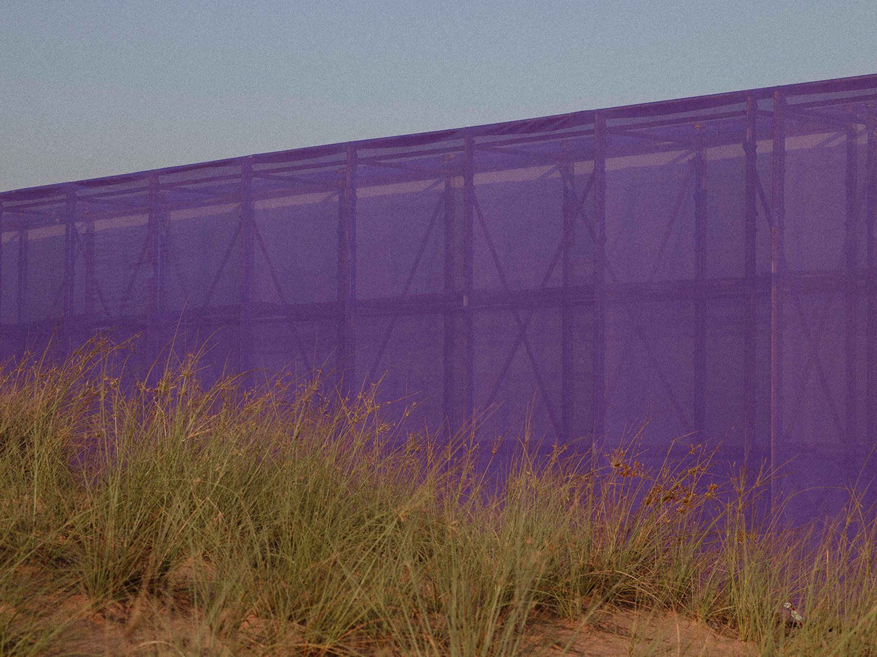 Free Practice, projects: Well Collective Festival (Fig. 26)